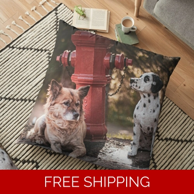 Floor Pillow Case Rush Signals Monument up at Le Studio 2 Dogs